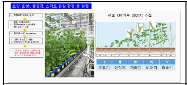 토양, 화분, 물공급, 비료시비 등 콩 생육조건 설정