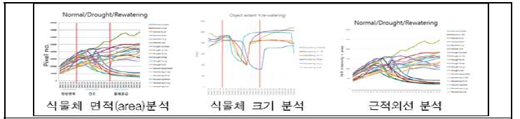 참깨 면적, 크기, 수분함량 등 내건성 표현체 분석 지원