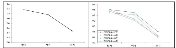 수광 이앙시기 재식밀도에 따른 완전립비율