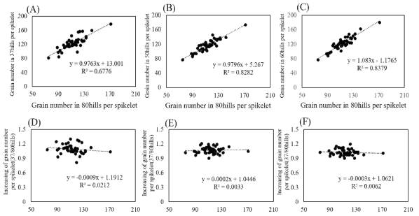 80주 이앙 시 영화수와 재식밀도 변경 시 영화수와의 상관관계 분석 (A) 37, (B) 50 (C) 60주. 80주 이앙 시 영화수와 재식밀도 변경 시 영화수 증가율과의 상관관계 분석 (D) 37, (E) 50, (F) 60주