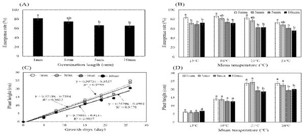 최아길이에 따른 (A) 출현율, 평균온도에 따른 (B) 출현율 및 (C) 초장변화, (D) 생육온도별 최아길이에 따른 초장변화