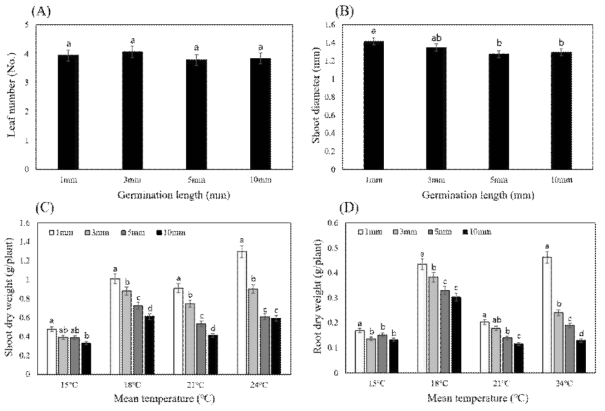 (A) 최아길이별 엽수 (B) 최아길이별 줄기두께 (C) 생육온도별 최아길이에 따른 어린모건물중 및 (D) 뿌리 건물중 변화