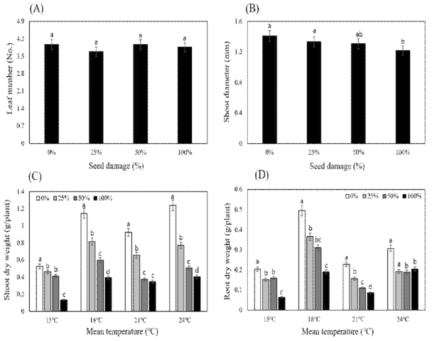 (A) 종자손상도별 엽수 (B) 종자손상도별 줄기두께 (C) 생육온도별 종자손상도에 따른 줄기건물중 (D) 생육온도별 종자손상도에 따른 뿌리건물중