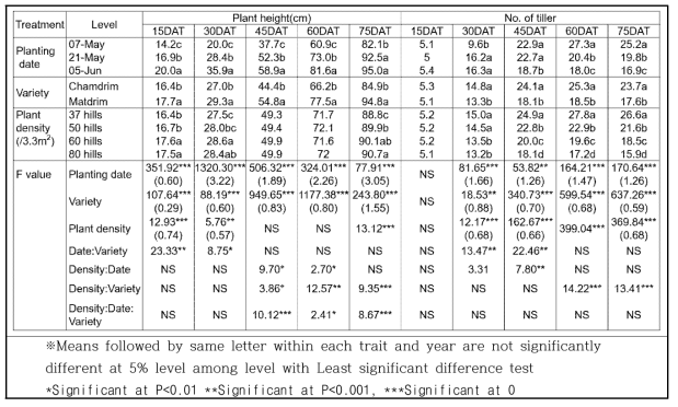 3년 평균값에 의한 이앙시기에 따른 품종 및 재식밀도별 이앙후 75일까지의 초장, 분얼수 비교