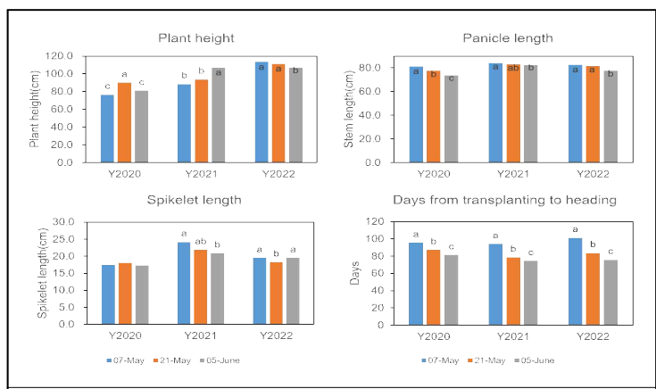 2020, 2021, 2023년 벼 이앙시기에 따른 초장, 분얼수, 간장, 이삭길이, 개화일 비교 ※Means followed by same letter within each trait and year are not significantly different at 5% level among level with Least significant difference test