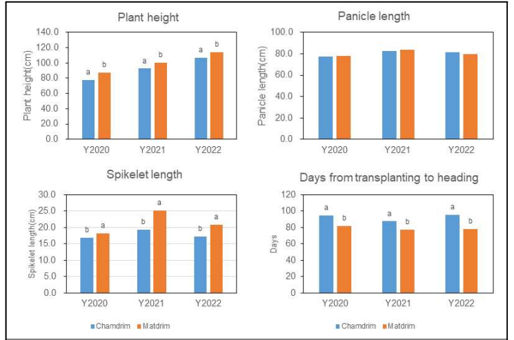 2020, 2021, 2023년 벼 품종에 따른 초장, 분얼수, 간장, 이삭길이, 개화일 비교 ※Means followed by same letter within each trait and year are not significantly different at 5% level among level with Least significant difference test