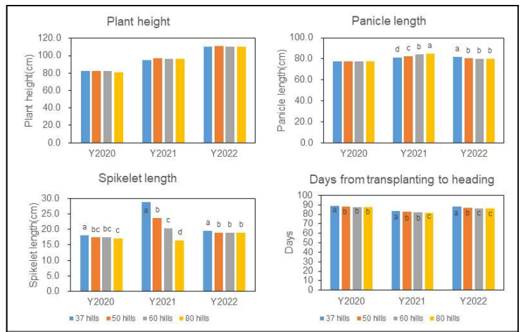 2020, 2021, 2023년도별 벼 재식밀도에 따른 초장, 분얼수, 간장, 이삭길이, 개화일 비교 ※Means followed by same letter within each trait and year are not significantly different at 5% level among level with Least significant difference test