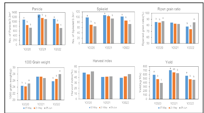 2020, 2021, 2022년도별 이앙시기에 따른 수량구성요소 및 수량의 평균간 비교 ※Means followed by same letter within each trait and year are not significantly different at 5% level among level with Least significant difference test