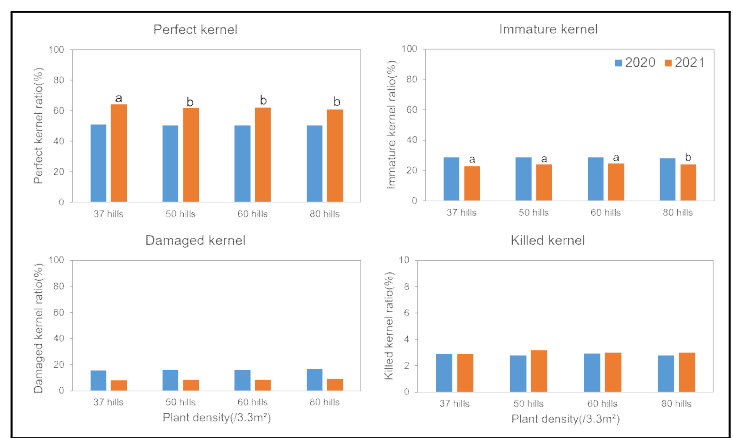 2020, 2021년 재식밀도에 따른 현미 품질 반응 비교
