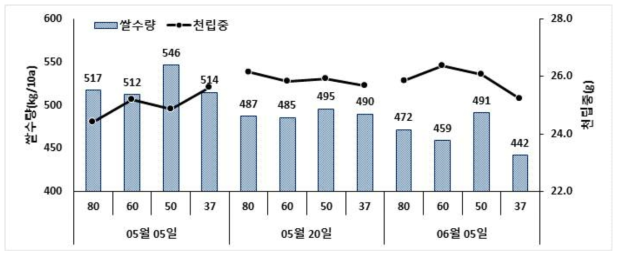 조생종 오대의 이앙시기와 재식밀도에 따른 쌀수량 및 천립중