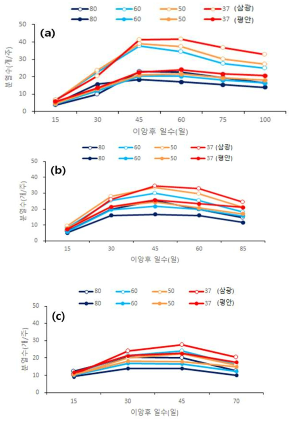 시험품종별 재식거리에 따른 경수변화. (a) 조기재배, (b) 적기재배, (C) 만기재배