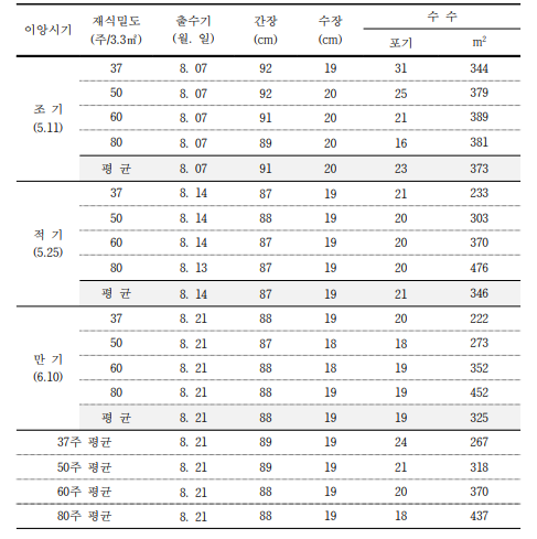 수수형 삼광 품종 이앙시기와 재식거리에 따른 출수기 및 이삭관련 특성