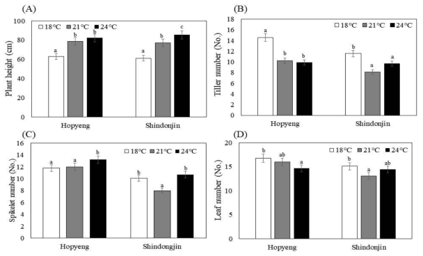 생육온도 변화에 따른 간장, 분얼수, 이삭수 및 잎변화 분석