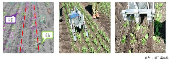 NTT 도코모社의 재배 관리 AI 로봇
