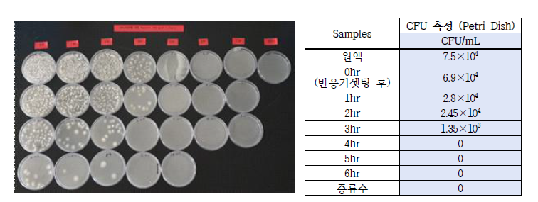 미세버블 발생장치(w/ 촉매) 적용 시간별 양액 배액 이용 Fusarium 배양