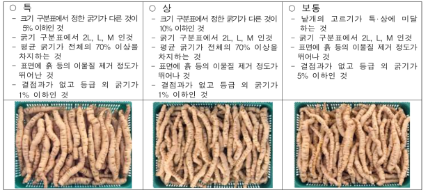 지황 등급 기준