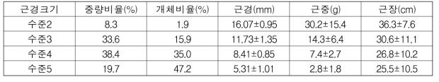 건황기 근경별 비율 및 뿌리특성