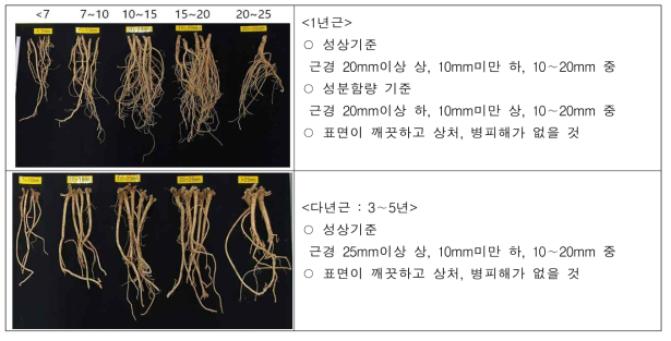 황기 등급 기준