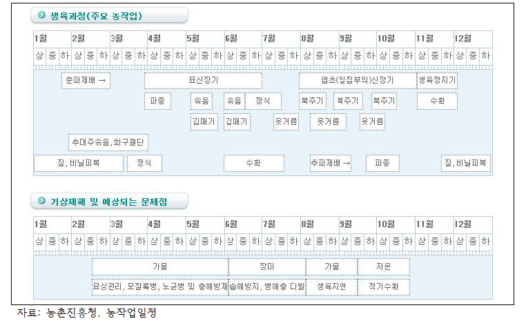 노지대파 생육과정, 기상재해 및 문제점