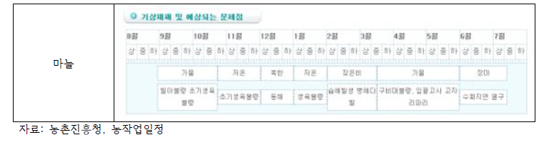 노지 마늘 재배에 영향을 미치는 기상재해 및 문제점