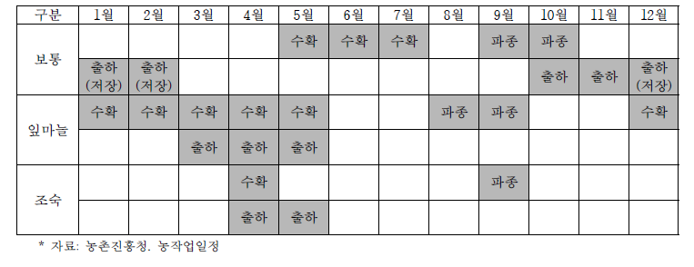 마늘 생육 주기