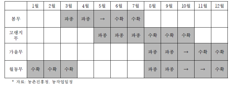 노지 무 생육 주기