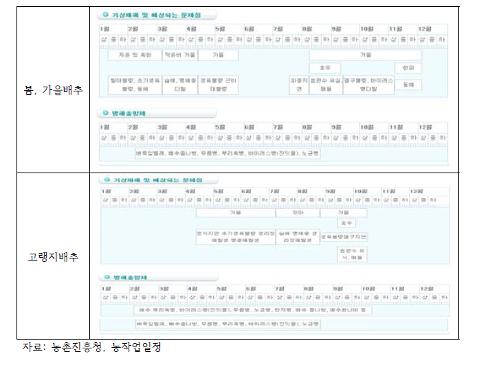 노지 배추 재배에 영향을 미치는 기상재해 및 문제점