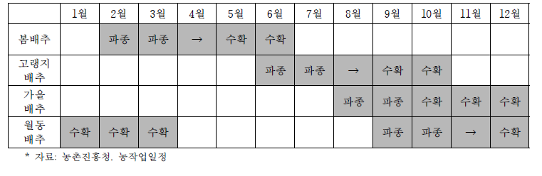 노지 배추 생육 주기