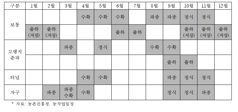 양파 생육 주기