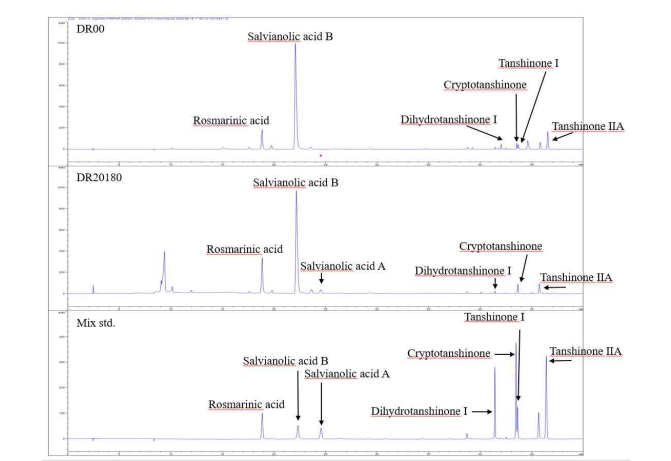 단삼 주요성분 7종의 HPLC 크로마토그램