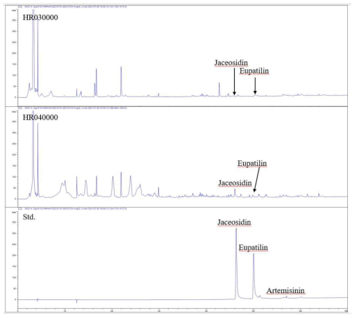 황해쑥 주요성분 3종의 HPLC 크로마토그램