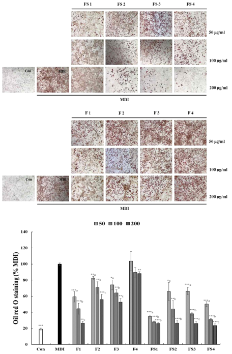 3T3-L1 adipocytes에서 수확시기별 산수유 열매 추출물의 지방축적 억제효과 시료: Con; 미분화, MDI; 대조구, F1∼F4; 9∼12월 수확 산수유 열매의 과육, FS1∼FS4; 9∼12월 수확한 열매(씨 포함)