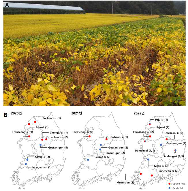 균핵마름병이 발생한 콩 밭(A)과 2020년, 2021년, 2022년에 병든 콩을 채집한 내 륙지역(B). ( )의 숫자는 채집한 포장 수.