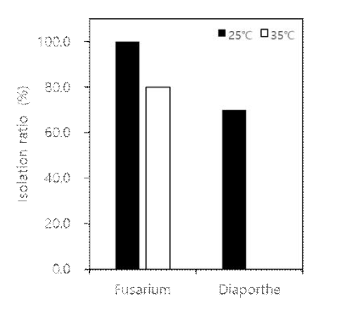 건강한 콩의 뿌리에서의 Fusarium spp.와 Diaporthe spp.의 분리율(%).