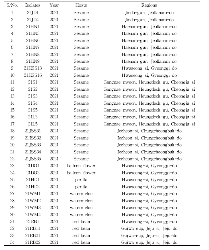 다양한 작물에서 분리한 M. phaseolina의 균주