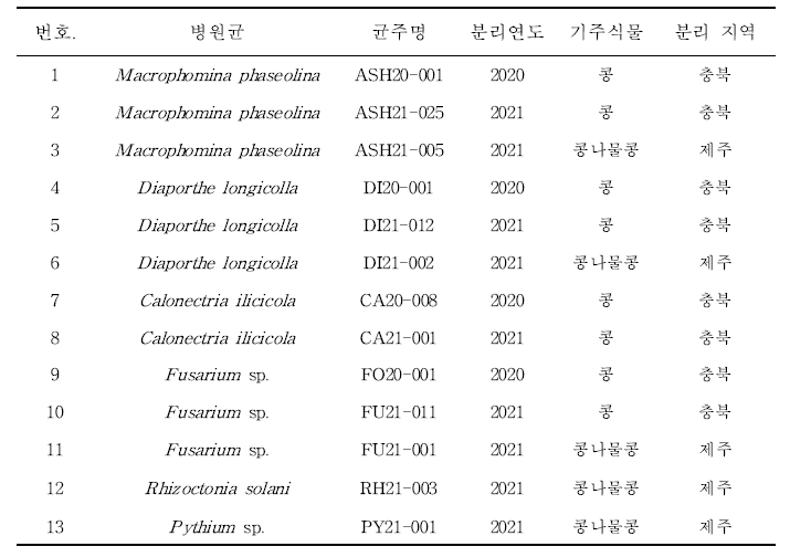 온도에 따른 균사 생장과 병원성 검정에 사용한 고사한 콩에서 분리한 균주