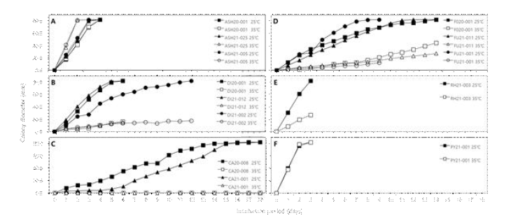 고사한 콩에서 분리한 여러 병원균의 25℃와 35℃에서의 균사 생장. A; Macrophomina phaseolina, B; Diaporthe longicolla, C; Calonectria ilicicola, D; Fusarium sp., E; Rhizoctonia solani, and F; Pythium sp..