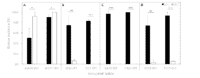 Macrophomina phaseolina(A), Diaporthe longicolla(B), Calonectria illicicolla(C) 및 Fusarium sp.(D)의 25℃와 35℃에서의 콩에서의 발병도. 병원균의 병원성은 식물배양접시에서 병원균의 균사를 접종원으로 사용하여 조사하였다. 실험의 유의성은 t- 검정을 사용하여 조사하였다. *; 5% 수준에서 유의성 인정, **; 1% 수준에서 유의성 인 정, and ***; 0.1% 수준에서 유의성 인정.