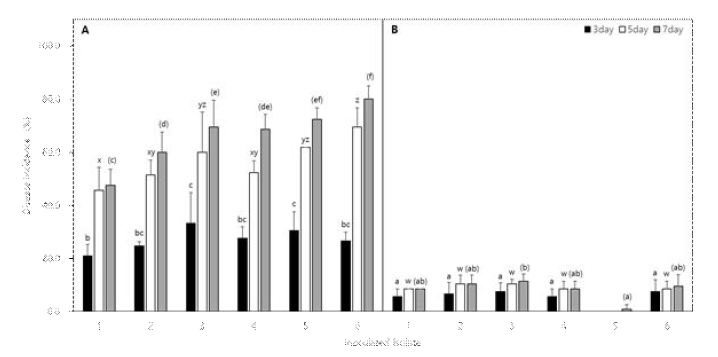 제주도와 제주도 이외 지역에서 분리한 Macrophomina phaseolina의 25℃에서 대원콩(A)과 아람콩(B)에 대한 병원성 비교. 본 실험에는 M. phaseolina ASH21-005 (1), A SH21-010 (2), ASH21-015 (3), ASH21-022 (4), ASH21-025 (%), and ASH21-032 (6) 균주를 사용하였다. M. phaseolina ASH21-005, ASH21-010, ASH21-015 균주는 제주 지역에서 분리한 균주이며, 나머지 균주는 제주 이외의 내륙에서 분리한 균주이었다. 모든 처리는 Duncan 다중 검정 (DMRT)을 통하여 유의성을 검정하였으며, 같은 문자는 5% 수준에서 유의성이 없음을 보여준다.