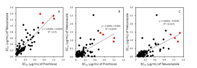 작용기작이 동일한 살균제에 대한 병원균의 감수성 관계. 각 살균제에 대한 감수성은 EC50값으로 표시하였으며, 두 살균제 간의 교차 저항성 여부는 상관 계수인 R2값을 구하여 판단하였음. 붉은색 점은 tebuconazole에 대한 감수성이 저하된 균주 M. phaseolina AS H21-025, ASH21-027, ASH21-030, ASH21-032를 나타냄.