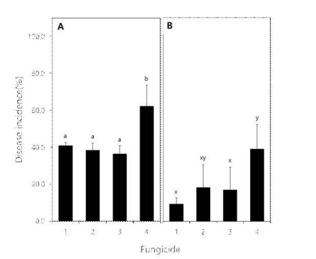 포장에서 살균제 종자 처리구의 콩 균핵마름병 발병도. A; 2021년, B; 2022년. 처리구 1; benomyl, 2; pyraclostrobin, 3; fludioxonil, 4; untreated control. All treatment means were separated using Duncan’s Multiple Range Test (DMRT) according to the fungicide used in the experiment. Treatments with the same letters are not statistically different at P = 0.05.