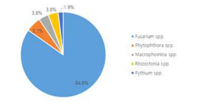 두류작물 시들음 증상에서 분리한 곰팡이균의 비율(총 52개 균주 분리)