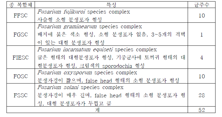 Fusarium 종 복합체(species complex)별 특성