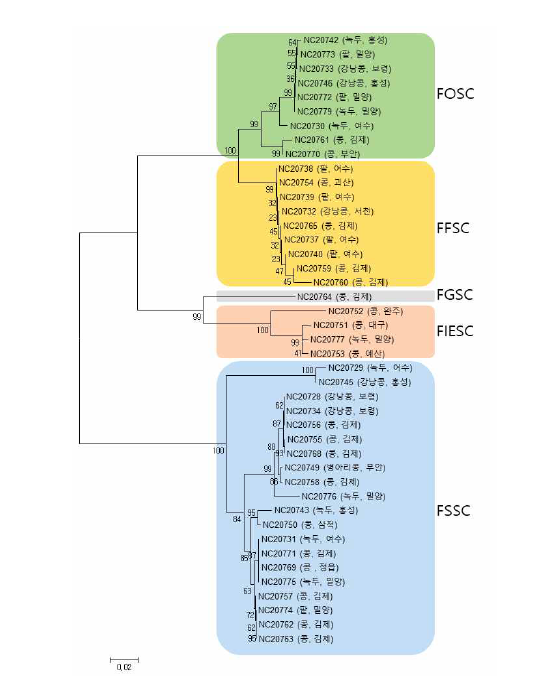 두류작물에서 분리한 43개 Fusarium균의 TEF(translation elongation factor 1 alpha) 유전자 염기서열분석에 의한 계통수(Neighbor-Joining method, 1,000 bootstrap test)