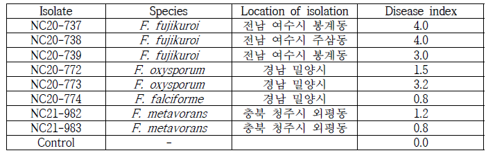 팥에서 분리한 Fusarium균의 병원성 검정