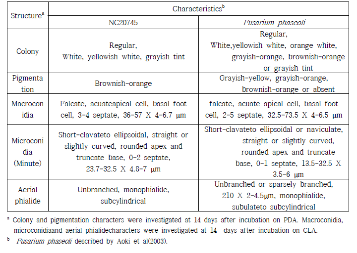 강낭콩 뿌리썩음병균 NC20745의 형태적·배양적 특성