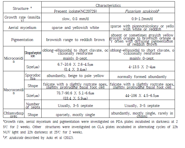 녹두 뿌리썩음병균 NC20729의 형태적·배양적 특성