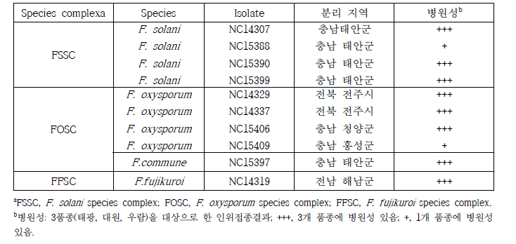 시험에 사용한 국내 콩시들음병균 목록