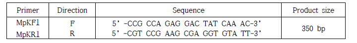M. phaseolina 종 특이적 프라이머 primer