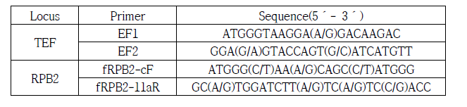 PCR, sequencing에 사용한 각 유전자별 프라이머